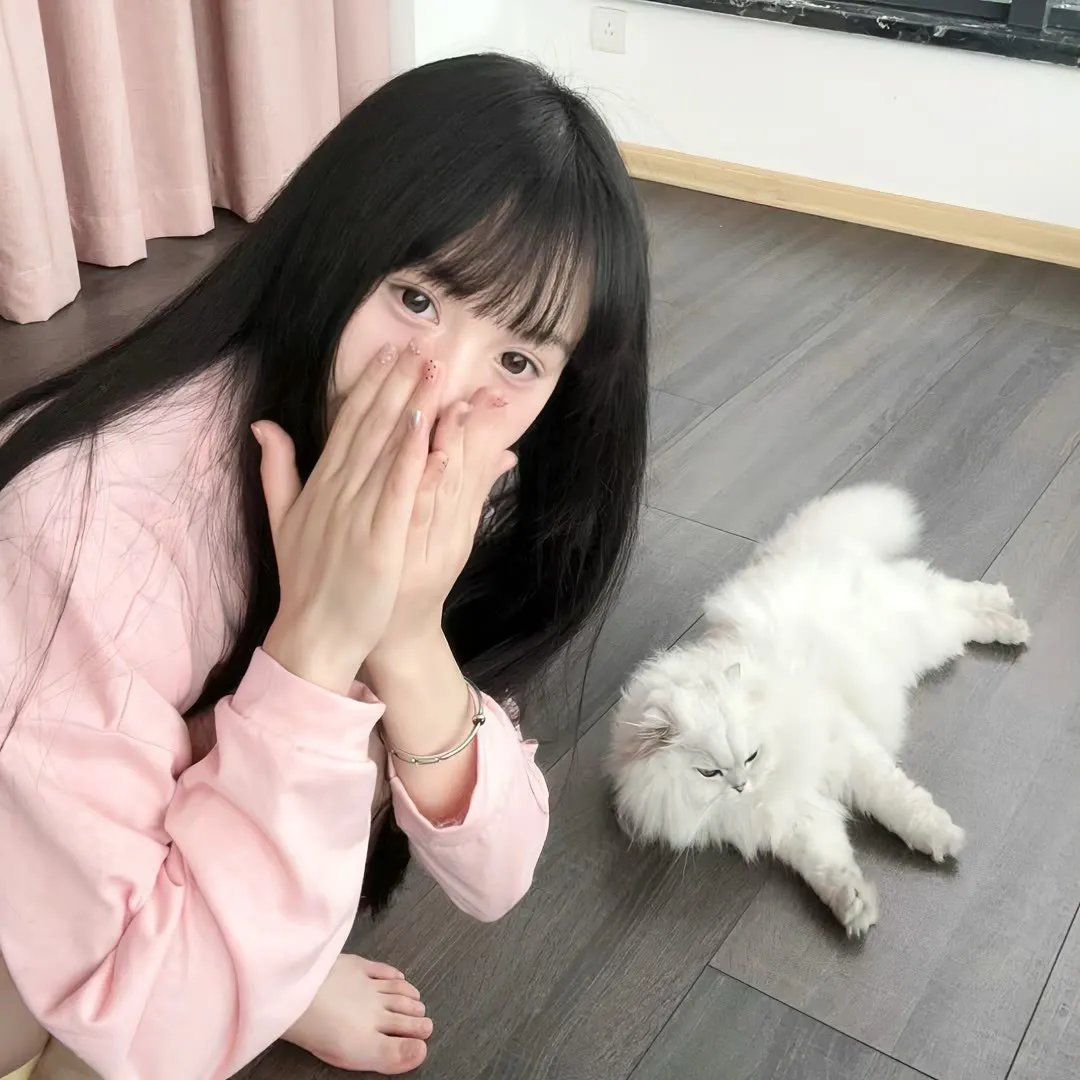 卡美拉万岁